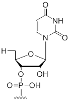 Unit Structure: xNAMEx