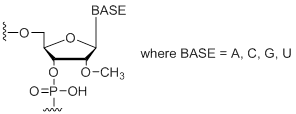 Unit Structure: mN