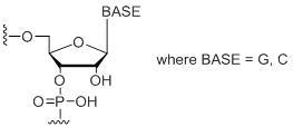 Unit Structure: rS