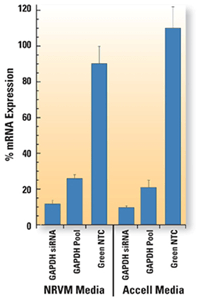 sirna accell nrvm 1 figure lrg