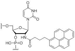 Unit Structure: 2'-Amino-butyryl-pyrene-uridine