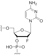Unit Structure: 2'-Fluoro-cytidine