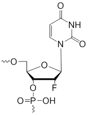 Unit Structure: 2'-Fluoro-uridine