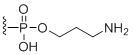 Unit Structure: 3'-Amino modifier C3