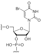 Unit Structure: 5-Bromo-Uridine